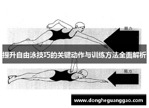 提升自由泳技巧的关键动作与训练方法全面解析