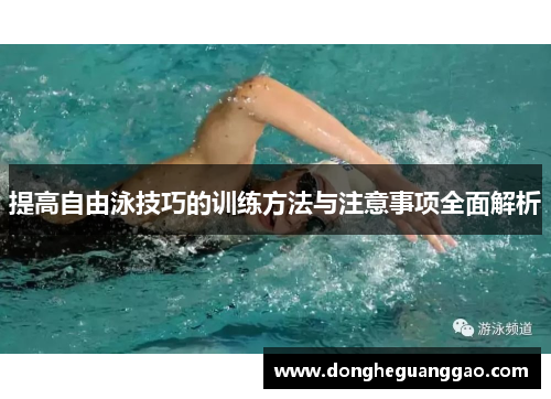 提高自由泳技巧的训练方法与注意事项全面解析