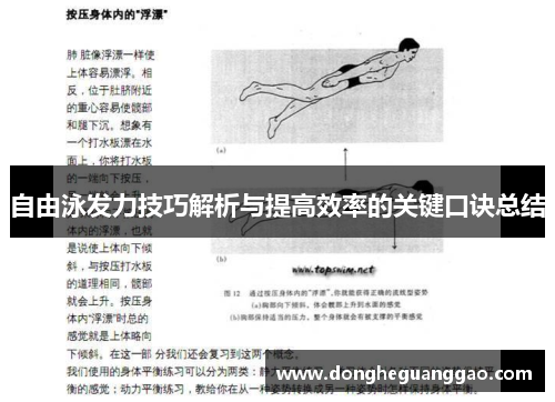 自由泳发力技巧解析与提高效率的关键口诀总结