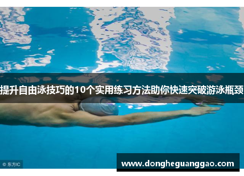 提升自由泳技巧的10个实用练习方法助你快速突破游泳瓶颈