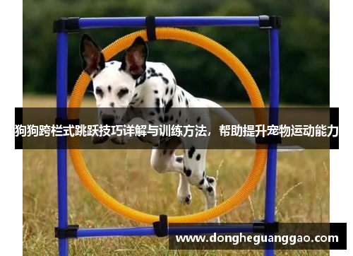 狗狗跨栏式跳跃技巧详解与训练方法，帮助提升宠物运动能力
