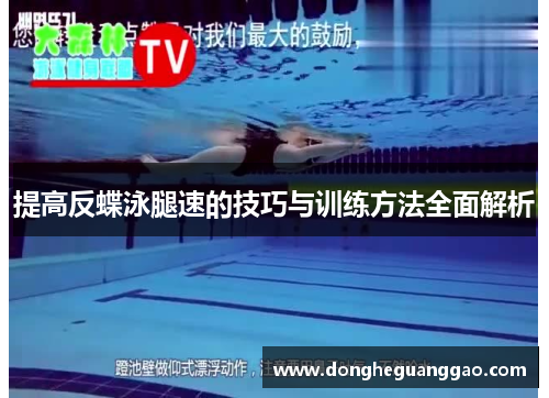 提高反蝶泳腿速的技巧与训练方法全面解析
