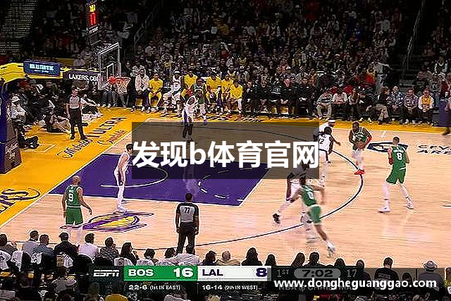 发现b体育官网